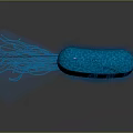 Blue Bacterium Organ Structure With Hair Like Appendages 3D Rendering View 3d model