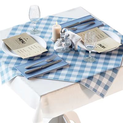 Tableware Set With Blue And White Checkered Tablecloth Plates Knives Forks Wine Glasses Menu Cards 3d model