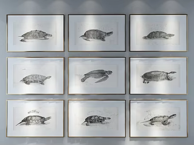 Black and White Turtle Paintings Framed with Golden Frames Arranged in Grid on Gray Wall 3d model