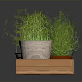 Decorative Potted Green Grass Plants in Wooden Tray with Various Planters