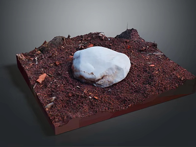 White Stone On Brown Soil With Small Branches Fallen Leaves And Gray Background 3d model