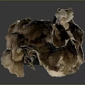 Natural Coral Polyps Sculpture With Intricate Textured Design And Black Base