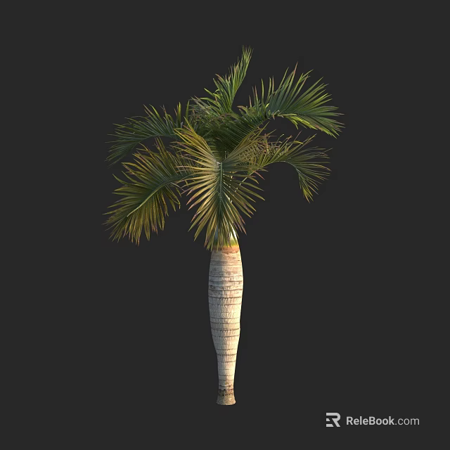 Tall Areca Palm Tree with Slender Textured Trunk and Lush Green Fronds 3d model 