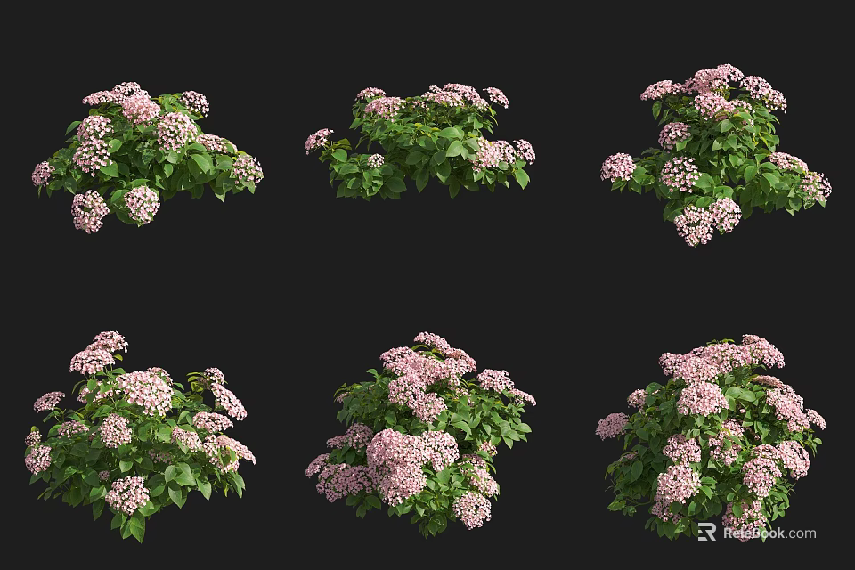Lush Shrubs With Pink Flowers And Green Leaves In Different Arrangements 3d model 