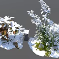 Snow Covered Arbor Trees With Stones And Snowy Ground