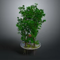 Cartoon Scene With Floating Platform Green Trees Small House And Hanging Roots