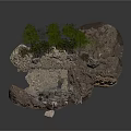 Green Plants And Small Trees Growing In Natural Soil With Rocks