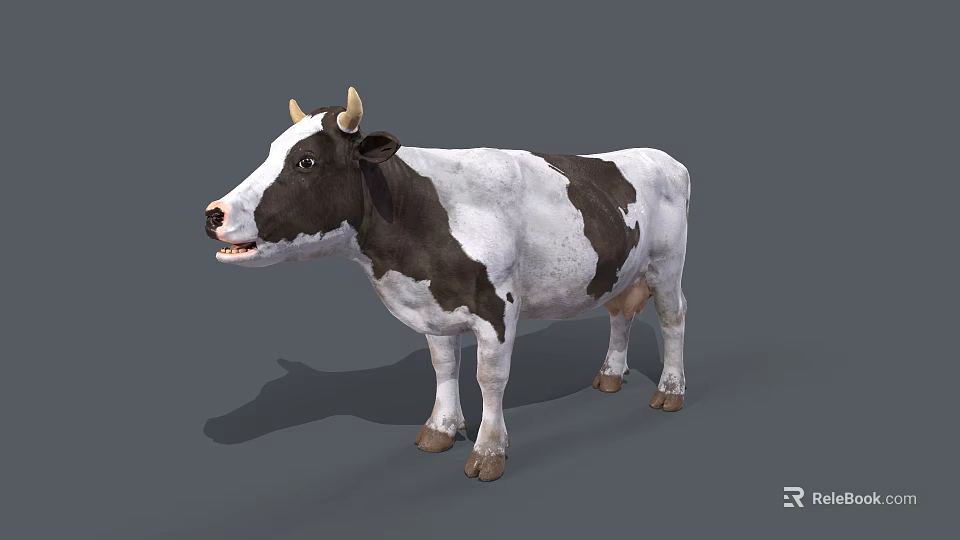 Realistic Black and White Cow With Horns Standing On Gray Background 3d model