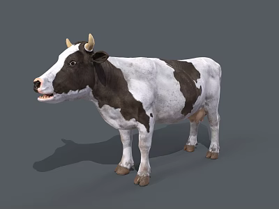 Realistic Black and White Cow With Horns Standing On Gray Background 3d model