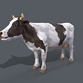 Realistic Black and White Cow With Horns Standing On Gray Background 3d model