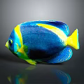 Colorful Blue Yellow Tropical Fish With Vibrant Scales And Dark Background Reflection