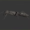 Metallic Ant Sculpture With Detailed Legs And Antennae On Dark Reflective Surface