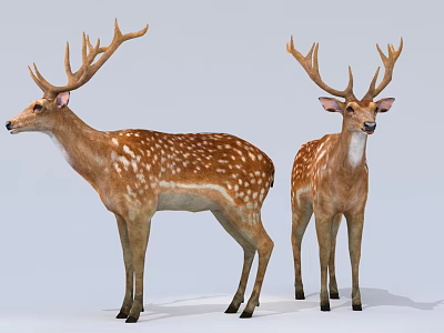 Two Spotted Reptiles With Horned Heads And Brown Scaly Bodies 3d model