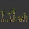 Multiple Palm Trees With Green Leaves And Brown Trunks Yellow Flowers In Decorative Arrangement