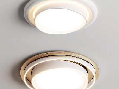 Modern ceiling lamp ceiling lamp combination 3d model