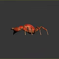Vibrant Red Crab Aquatic Creature with Detailed Claws on Dark Background