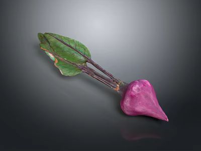 Vibrant Fresh Purple Beetroot With Green Leaves And Healthy Vegetable Appearance 3d model