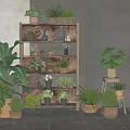 Indoor Bonsai Potted Plants Display On Wooden Shelf With Various Greenery And Decor
