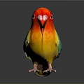 Colorful Bird With Red Head Yellow Body Green Wings Blue Tail On Dark Reflective Surface
