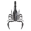 Realistic Black Scorpion Reptile With Shiny Exoskeleton Claws And Tail