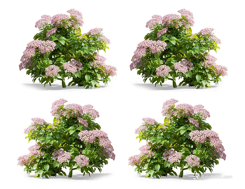 Four Potted Pink Flower Bushes With Green Leaves And Vibrant Pink Blooms 3d model 