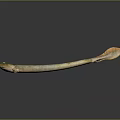 Long Bodied Greenish Yellow Fish With Shiny Scales Orange Tail And Realistic 3D Render