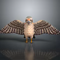 Detailed Falcon Bird with Spread Wings Standing on Reflective Gray Background