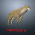 Realistic 3D Lioness Model With Skeleton Rigging And Animation Features 3d model