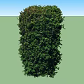 Lush Green Plants With Dense Foliage And Vibrant Leaves For Natural Wall Decor