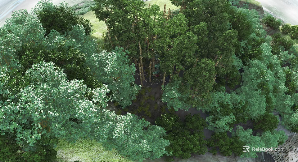 Lush Garden Landscape Design With Dense Trees And Various Green Vegetation 3d model 