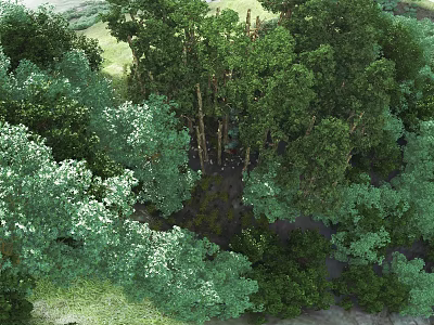 Lush Garden Landscape Design With Dense Trees And Various Green Vegetation 3d model