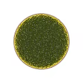Green Moss Decorative Ornament Set With Round Shape And Wooden Frames