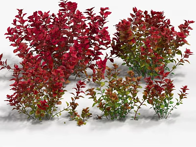 Lush Aquatic Plants With Red And Green Leaves In Multiple Clusters 3d model