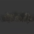 Dried Herbaceous Plants With Fluffy Clustered Growth And Gray Green Brown Tones On Dark Background