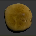 Mushroom Organ Structure With Hairy Stem Yellow Cap And White Base