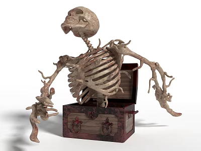 Spooky Skeleton Doll With Twig Like Limbs Emerging From Wooden Chest 3d model