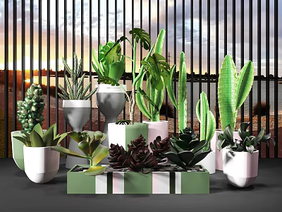 Decorative Bonsai and Potted Plants with Succulents Cacti in Modern Ceramic Planters 3d model