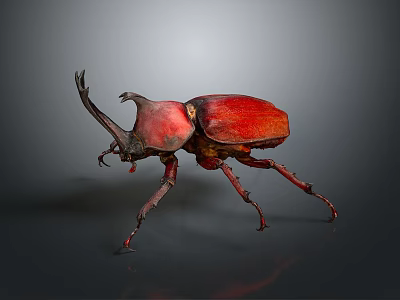 Vibrant Red Rhinoceros Beetle With Large Horn And Long Legs On Dark Background 3d model