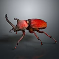 Vibrant Red Rhinoceros Beetle With Large Horn And Long Legs On Dark Background