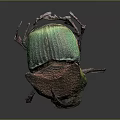 Vibrant Iridescent Beetle With Horned Exoskeleton And Colorful Shell Details Isolated On Dark Background
