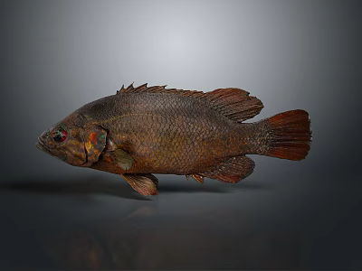 Decorative Brown Fish Figurine As Home Living Supplies With Lifelike Design Details 3d model