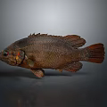 Decorative Brown Fish Figurine As Home Living Supplies With Lifelike Design Details
