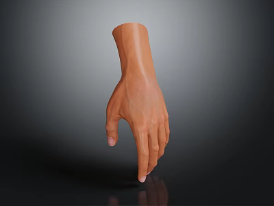3D Hand Model Realistic Brown Skin Long Fingers Palm Facing Downward on Black Reflective Background 3d model