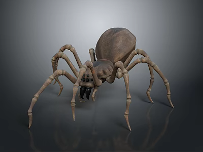 Realistic 3D Spider Model With Skeletal Legs And Brown Exoskeleton 3d model