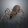 Realistic 3D Spider Model With Skeletal Legs And Brown Exoskeleton 3d model