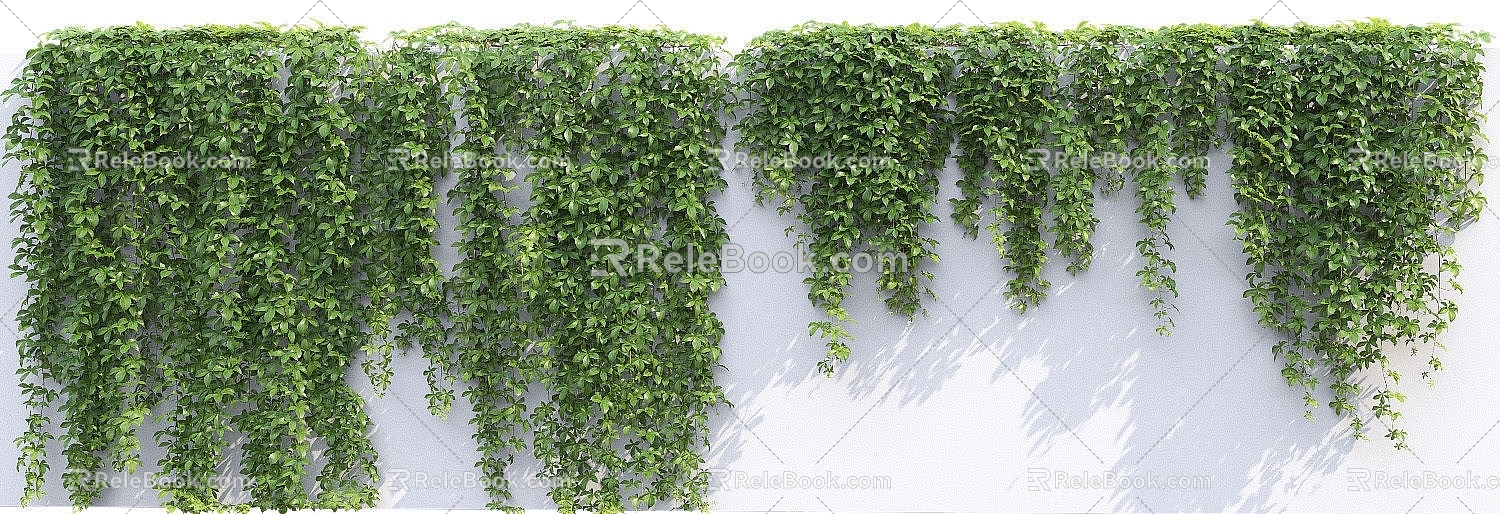 Modern Vine Vine Man Wall Creeper 3d model