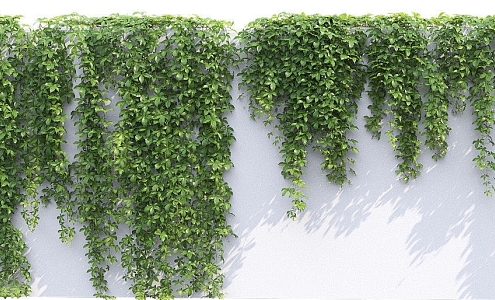 Modern Vine Man Wall Creeper 3d model