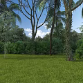 Picturesque Natural Scenery With Lush Green Grass Tall Trees And Blue Sky