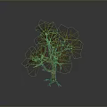 Isolated Leafless Tree With Brown Trunk And Bare Branches On Gray Background