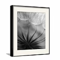 Black and White Dandelion Botanical Painting with Framed Design for Home Wall Art